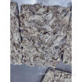 /msite/products/detail/productid/62263611/id/1037628.html
